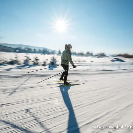 Apartament Graessl - Almzeit